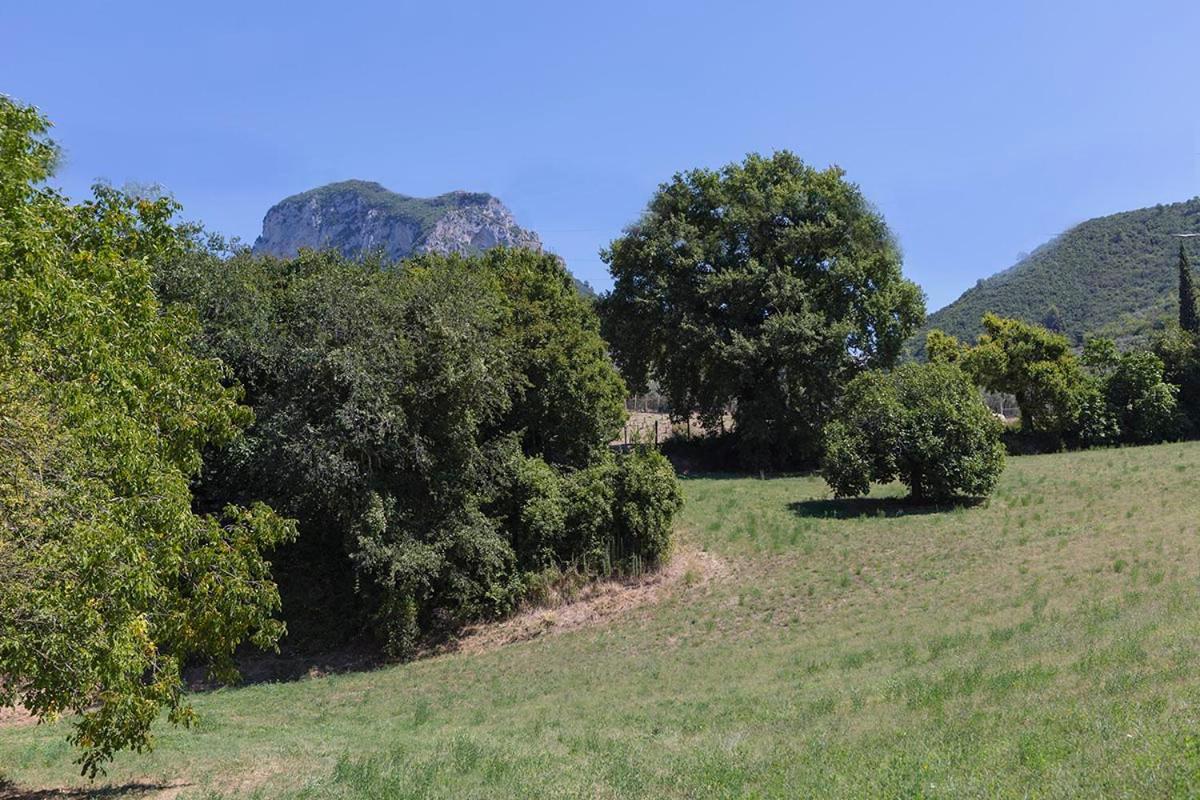 Agriturismo I Melograni Ferentillo Exterior photo
